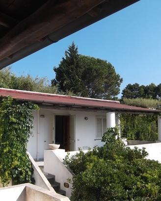 FALL 3/2014 Trib Barcellona PG - LOTTO 18