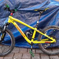 Orbea mx20 dirt bici bambino