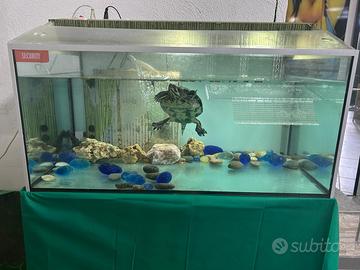 Acquario/Tartarughiera