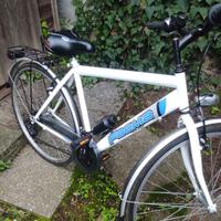Bicicletta 28 Faema da passeggio con doppio cambio