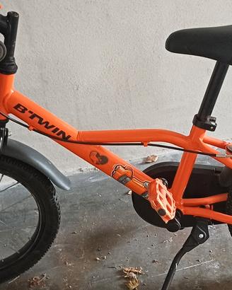 bicicletta 