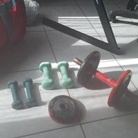 pesi da palestra 