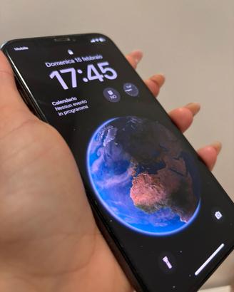 Iphone X nero, 256gb senza difetti