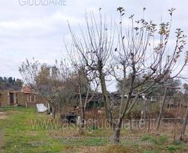 Terreno Agricolo Viterbo [A4309912]