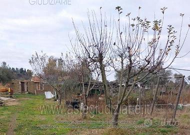 Terreno Agricolo Viterbo [A4309912]