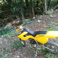 Malaguti grizzly tweleve 50cc