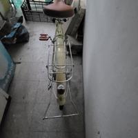 elegante bicicletta da donna