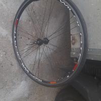 Ruote copertoncino corsa