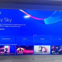 SKY GLASS 65” white