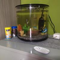 acquario 