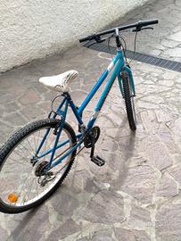 Bicicletta da ragazzo ruota 26