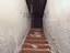 Immagine 14