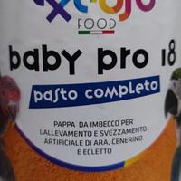 Pappa imbecco