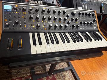 Moog Sub 37