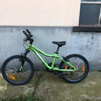 Bicicletta 20 pollici