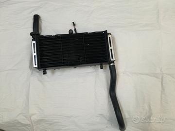 Radiatore Honda Hornet 600 2004