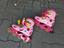 Immagine 2