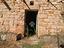 Immagine 12