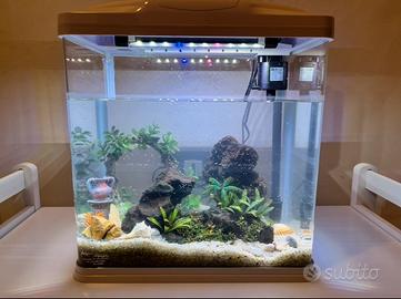 Acquario 30 litri