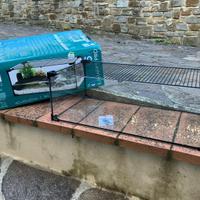 terrario per tartarughe nuovo