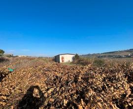 Accessorio e terreno con vista