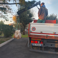 Rocce giardino sassi ornamentali