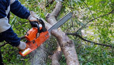 Taglia albero piante giardino campo srdadicare 