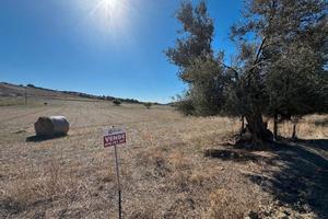 Terreno di 3000 mq