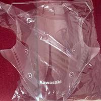 Cupolino maggiorato Kawasaki Versys originale tras