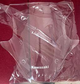 Cupolino maggiorato Kawasaki Versys originale tras