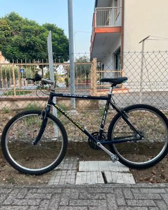 MountainBike Bottecchia Oasis2 cerchio 26 pollici