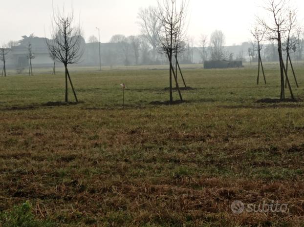 Terreno per casa singola