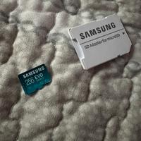 Samsung sd