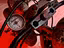 Immagine 24
