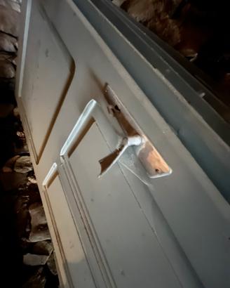 Parte interne, anni 50