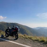 Gsx-r 125