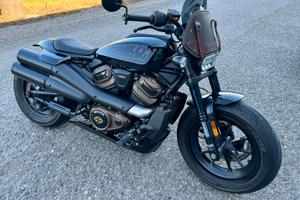 cupolino   per Sporter S Harley Davidson 1250