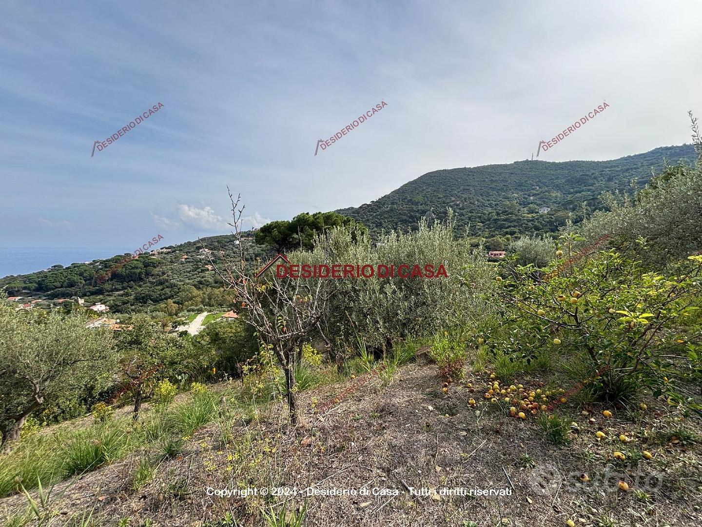 Terreno, Cefalù. - Altro