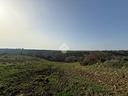 ter-agricolo-a-santa-marinella