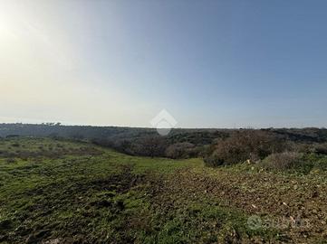 TER. AGRICOLO A SANTA MARINELLA
