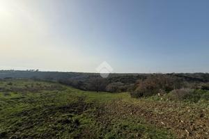 TER. AGRICOLO A SANTA MARINELLA