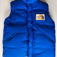 PIUMINO GUCCI PER NORTH FACE