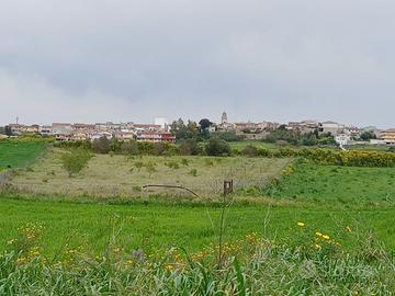 Terreno agricolo