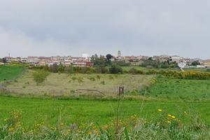 Terreno agricolo