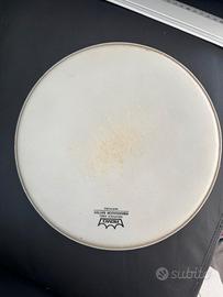 SET Pelli Remo Ambassador White Batter