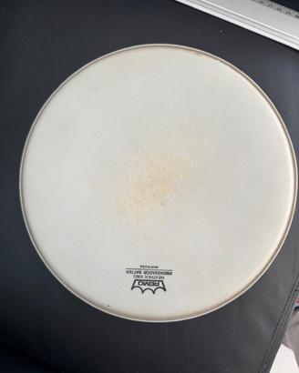 SET Pelli Remo Ambassador White Batter