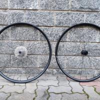 coppia ruote DT Swiss Endurance LN