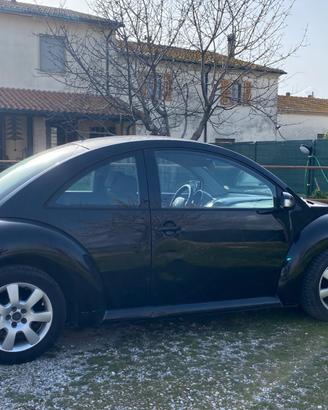 Maggiolino New Beetle