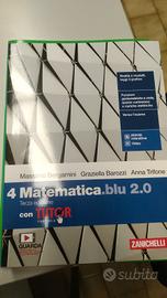 Libro Matematica Zanichelli per Docenti