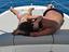 Immagine 6